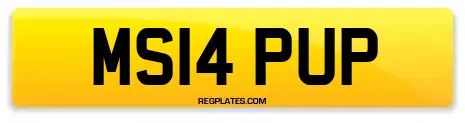 MS14 PUP