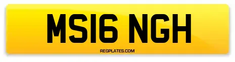 MS16 NGH