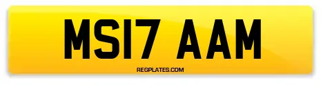 MS17 AAM