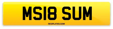 MS18 SUM