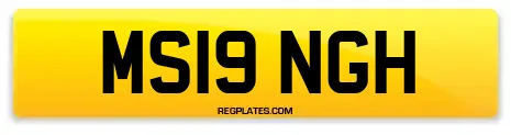MS19 NGH