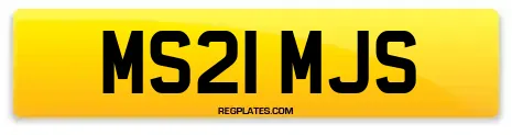 MS21 MJS