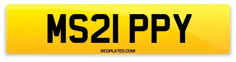 MS21 PPY