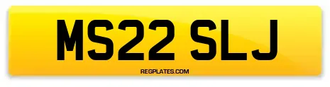 MS22 SLJ