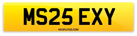 MS25 EXY