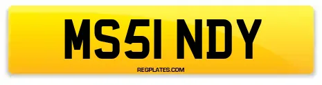 MS51 NDY