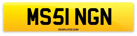MS51 NGN