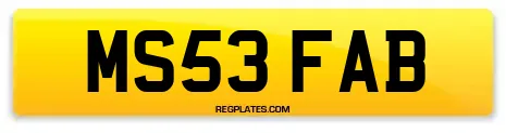 MS53 FAB