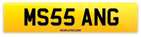 MS55 ANG