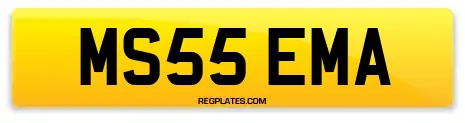 MS55 EMA