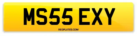 MS55 EXY