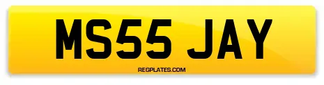 MS55 JAY