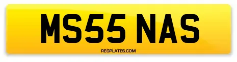 MS55 NAS