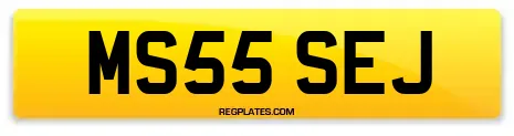 MS55 SEJ