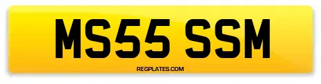 MS55 SSM