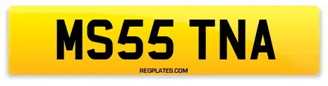 MS55 TNA