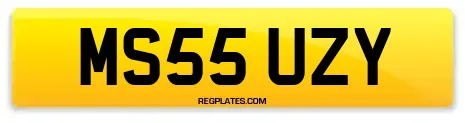 MS55 UZY