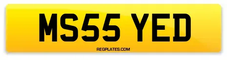 MS55 YED