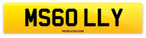 MS60 LLY
