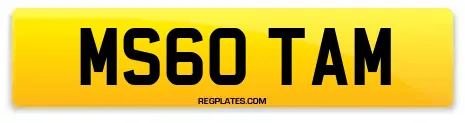 MS60 TAM