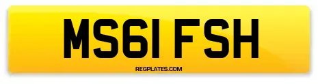 MS61 FSH