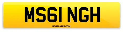 MS61 NGH