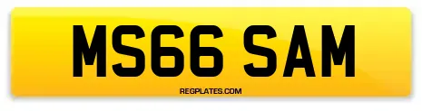 MS66 SAM