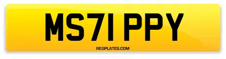 MS71 PPY