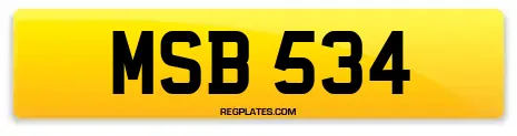 MSB 534