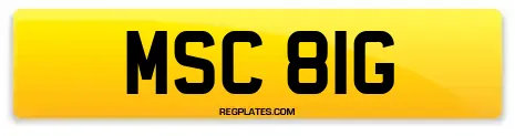 MSC 81G