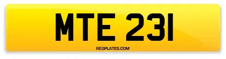 MTE 231