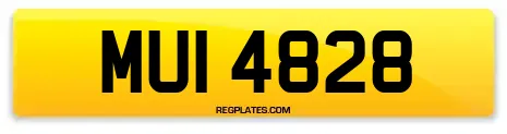 MUI 4828