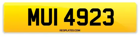 MUI 4923