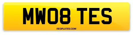 MW08 TES