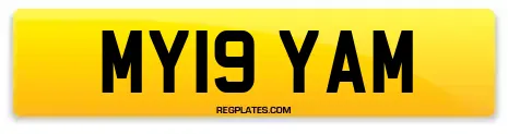 MY19 YAM