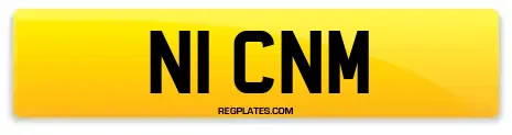 N1 CNM