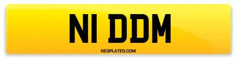 N1 DDM