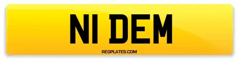 N1 DEM