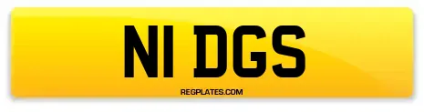 N1 DGS