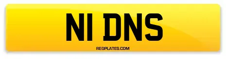 N1 DNS