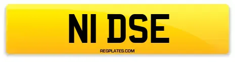 N1 DSE