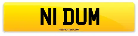 N1 DUM
