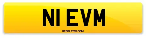N1 EVM