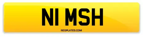 N1 MSH