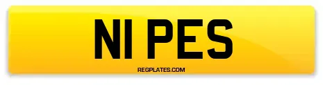 N1 PES