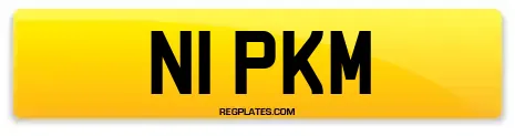 N1 PKM