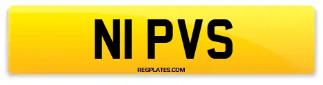 N1 PVS