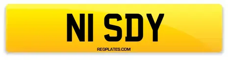 N1 SDY