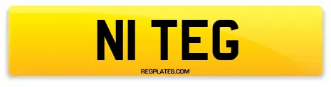 N1 TEG