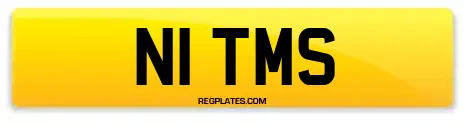 N1 TMS